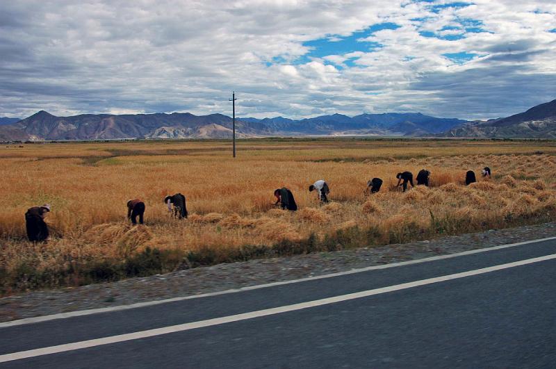 TIBET SEPT2008-827.JPG